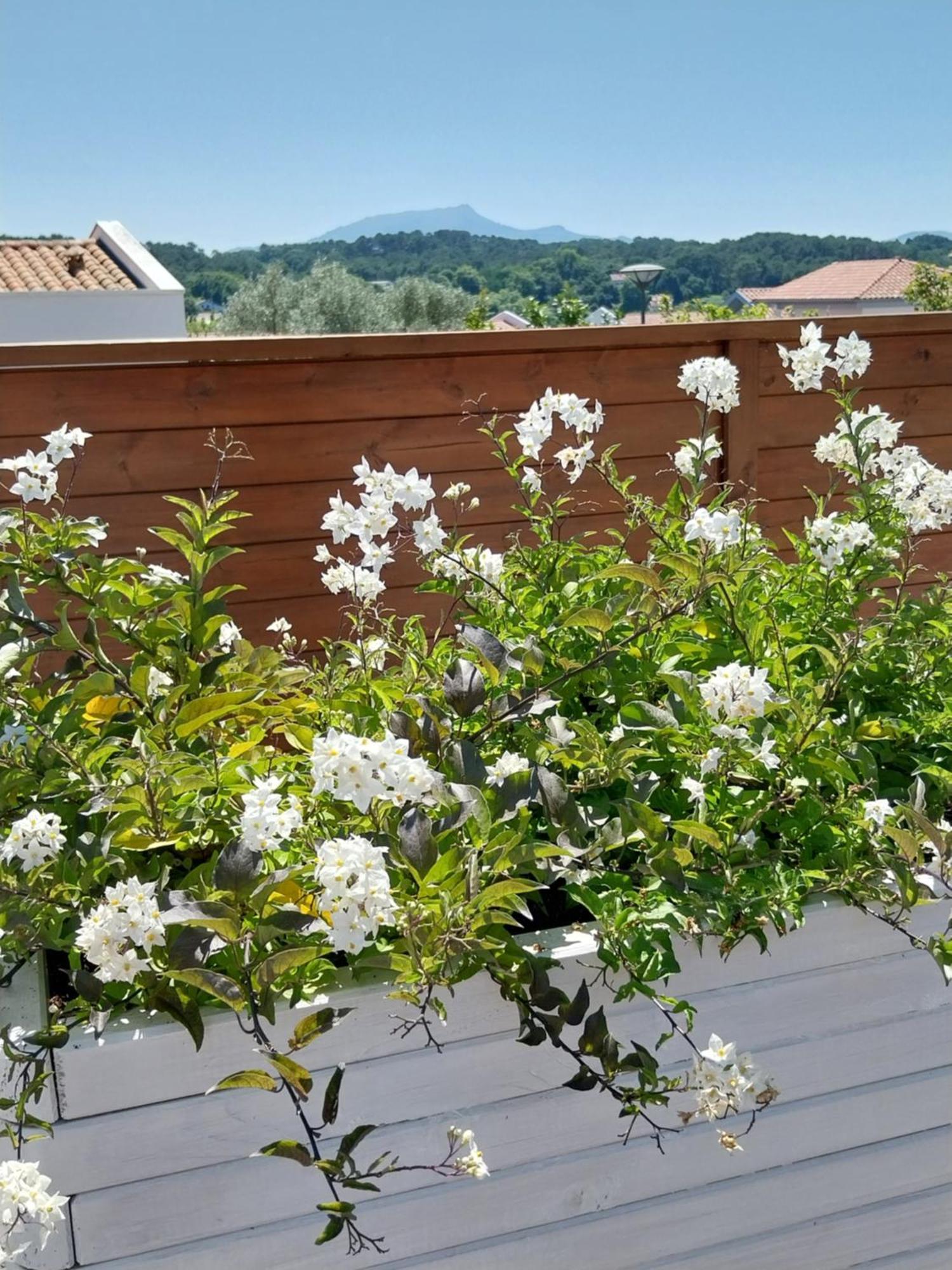 Studio Cocon Enea Bidart, Terrasse Et Parking 外观 照片